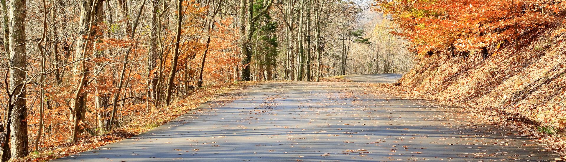 Fall Roads, Fresh Starts: What Autumn Teaches Us about Car Care and Community